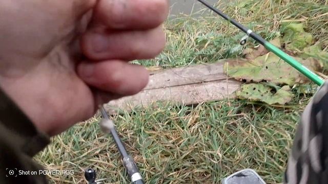 1000004403.mp4 смотреть онлайн