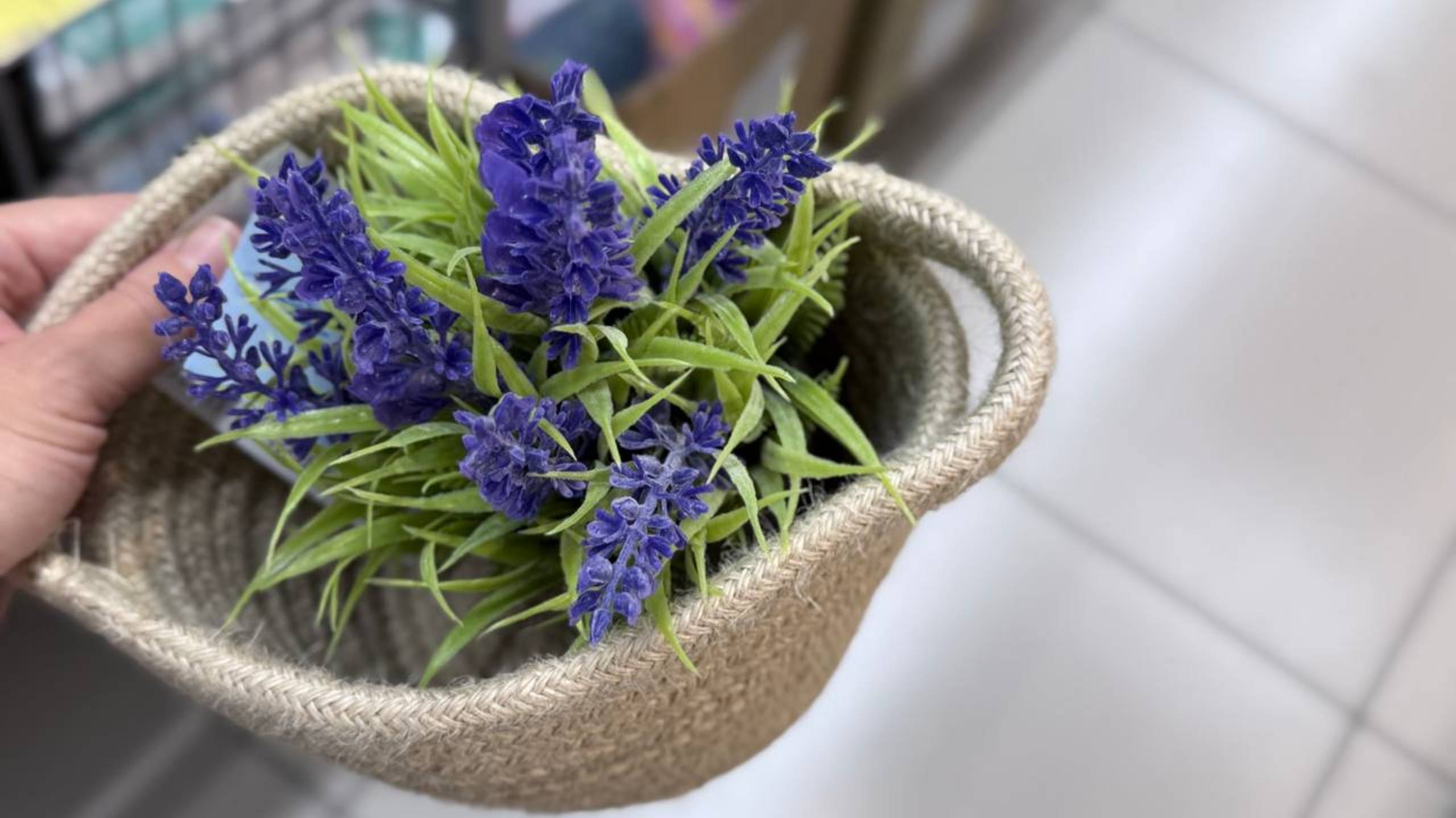 💛 ЧИЖИК НАКУПИЛА НОВИНОК🔥 ПОЛКИ БИТКОМ - ИЗОБИЛИЕ ВСЕГО 😍 Все новинки недели в видео ✅ смотреть онлайн