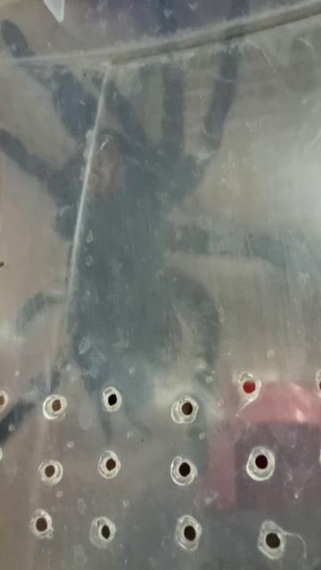 Дневная обстановка 13 октября 2025 г. смотреть онлайн