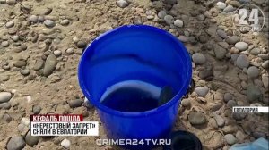 Сезон кефали начался на побережье Евпатории