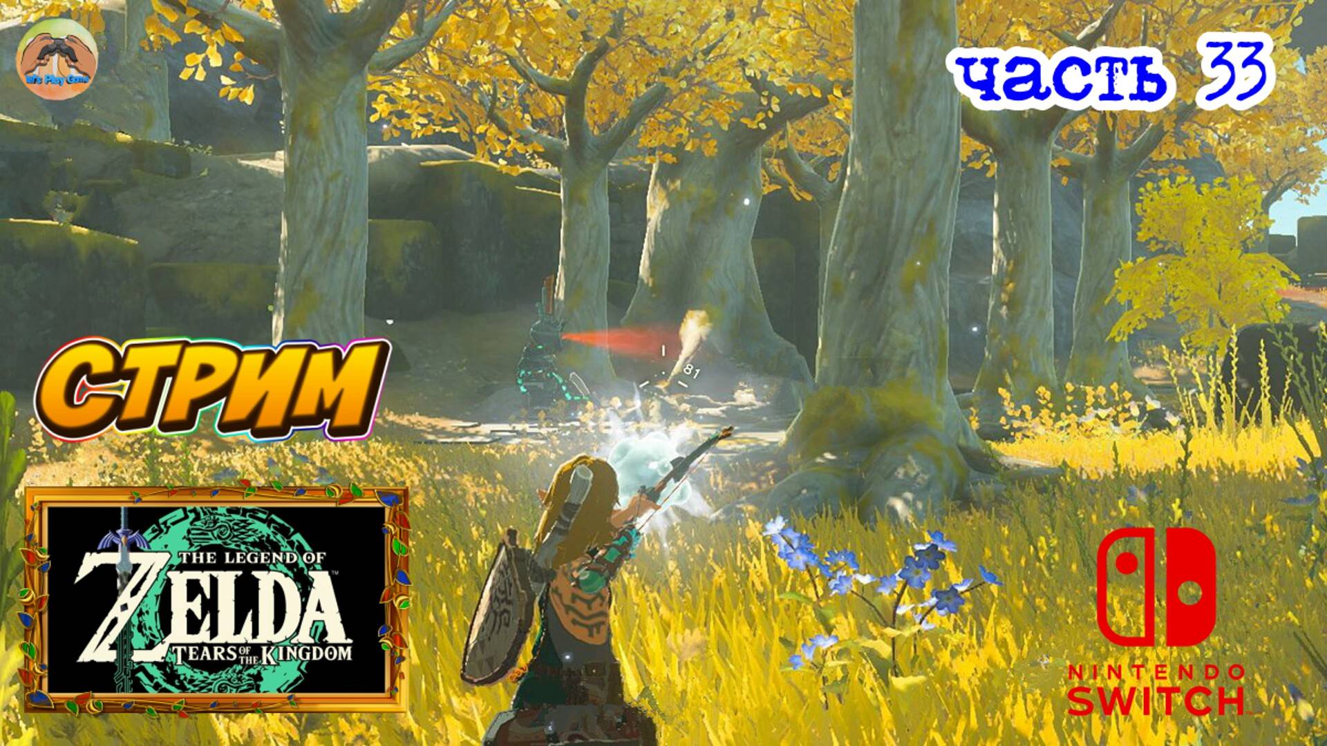 The Legend of Zelda Tears of the Kingdom -=- ЧАСТЬ 33 смотреть онлайн