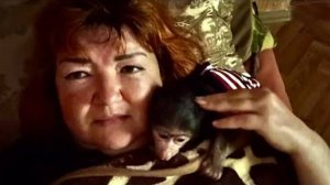 Анфиса просто ШИЛО, а не обезьянка, она добилась своего, отдохнуть мне не удалось)))