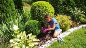 Сад мечты. Выпуск 23