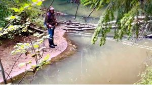 На таёжную речку за хариусом. Рыбалка на спиннинг.