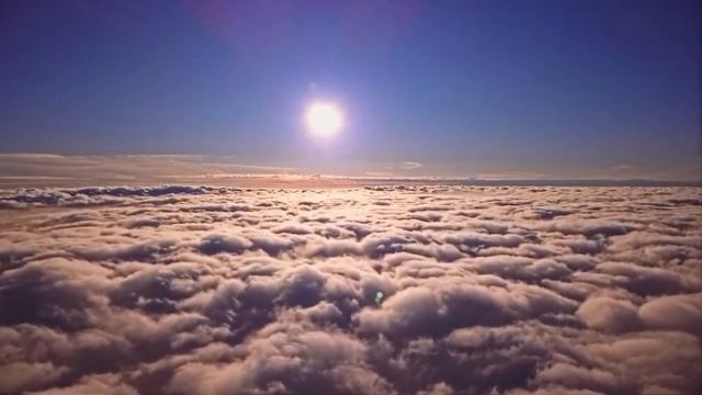 Светлой памяти...