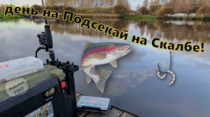 Форель сегодня ловилась на