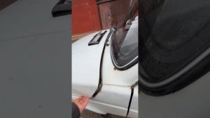 Нива