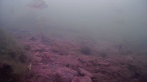 река Бартым