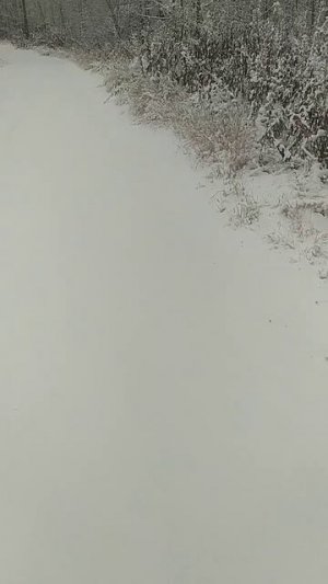 А у нас первый снег.