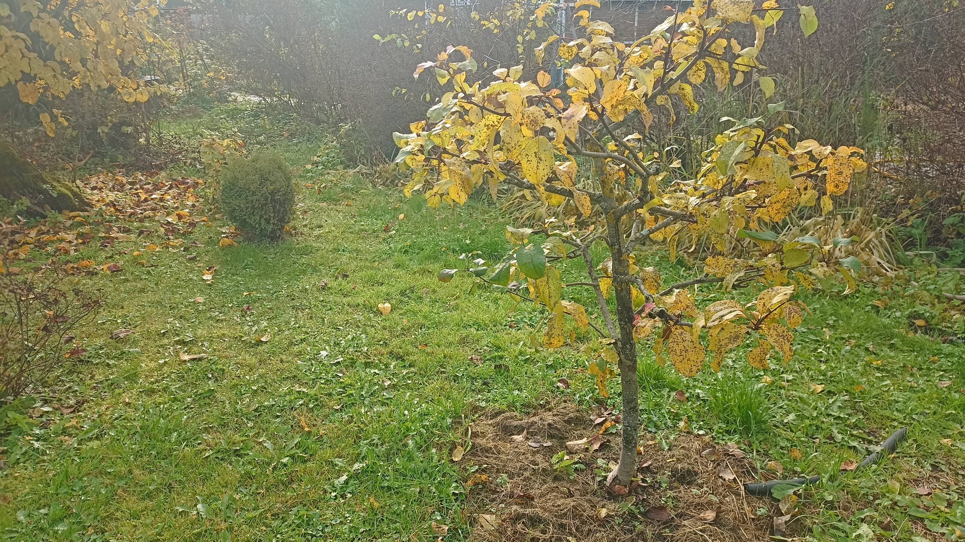 Как и когда провести влагозарядный полив смотреть онлайн