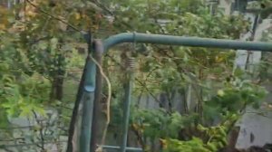 Z5835 Ставрополь, Автоприцеп, дача 28.9м2, 6.81 сот