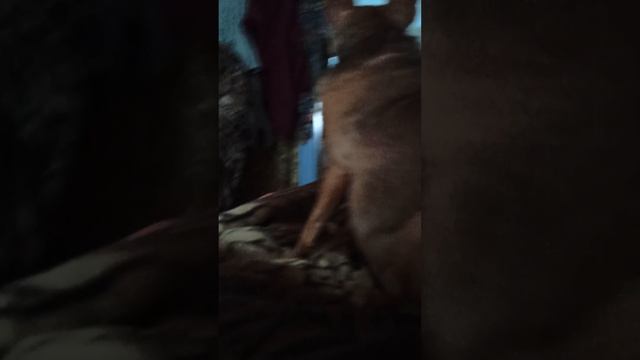 Я в деревне смотреть онлайн