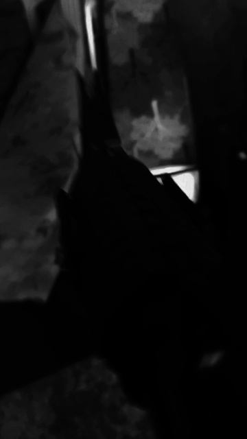 фильм СЕКРЕТНЫЙ УБИЙЦА 2 Серия