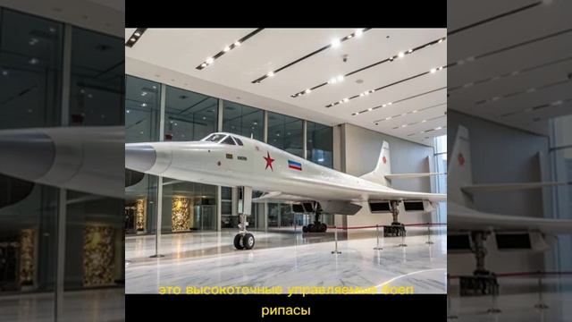 Энциклопедия знаний. Https:AndreLesRassvet