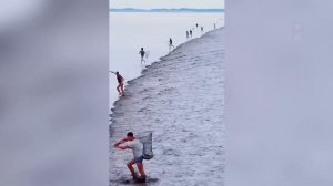 Я бы и сам не поверил, но это видео удалось снять на камеру