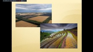 Лекция №6. Агрономия. Мелиорация. 231 группа. 27.10.25-30.10.25.