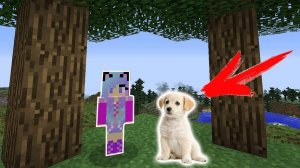 МНЕ ПОДАРИЛИ СОБАКУ В РЕАЛЬНОЙ ЖИЗНИ В МАЙНКРАФТ НУБИК В MINECRAFT РЕБЕНОК ПРО ТРОЛЛИНГ ЛОВУШКА