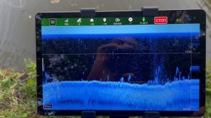 Автопилот Go и Down Scan +