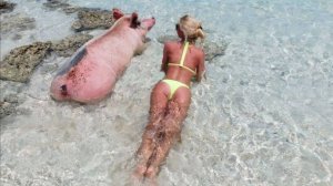 ✅ САМЫЕ СМЕШНЫЕ ПРИКОЛЫ — СМОТРИ ДО КОНЦА! 👀