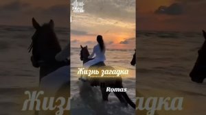 ЖИЗНЬ ЗАГАДКА.