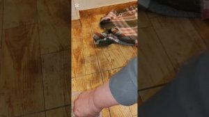 Сварила курицу, купила дорогие лекарства для Василисы и Снежка