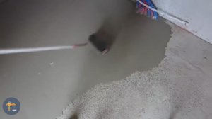 Наливной пол без маяков. Как правильно заливать своими руками, подготовка основания и смеси