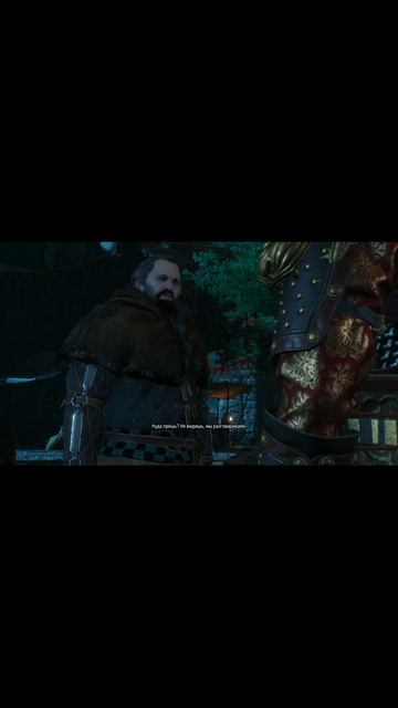 #Shorts Ведьмак 3. Так это был разговор смотреть онлайн