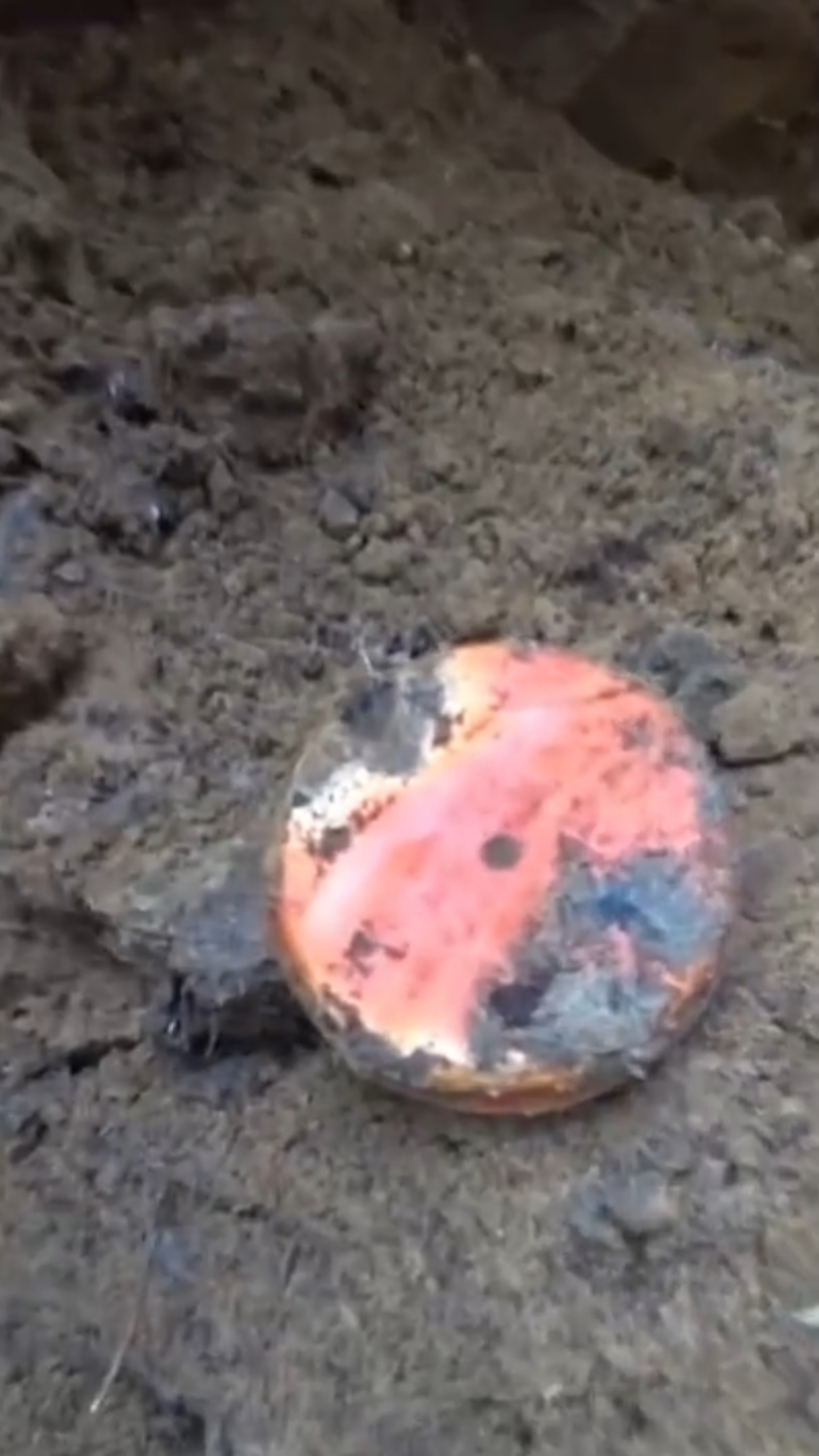 Коп по войне. Маргаринница на дне немецкого блиндажа #digging #ww2 #shortsvideo #shortsrutube смотреть онлайн