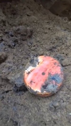 Коп по войне. Маргаринница на дне немецкого блиндажа #digging #ww2 #shortsvideo #shortsrutube