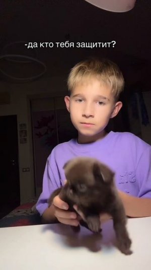мы твои защитники 😻
