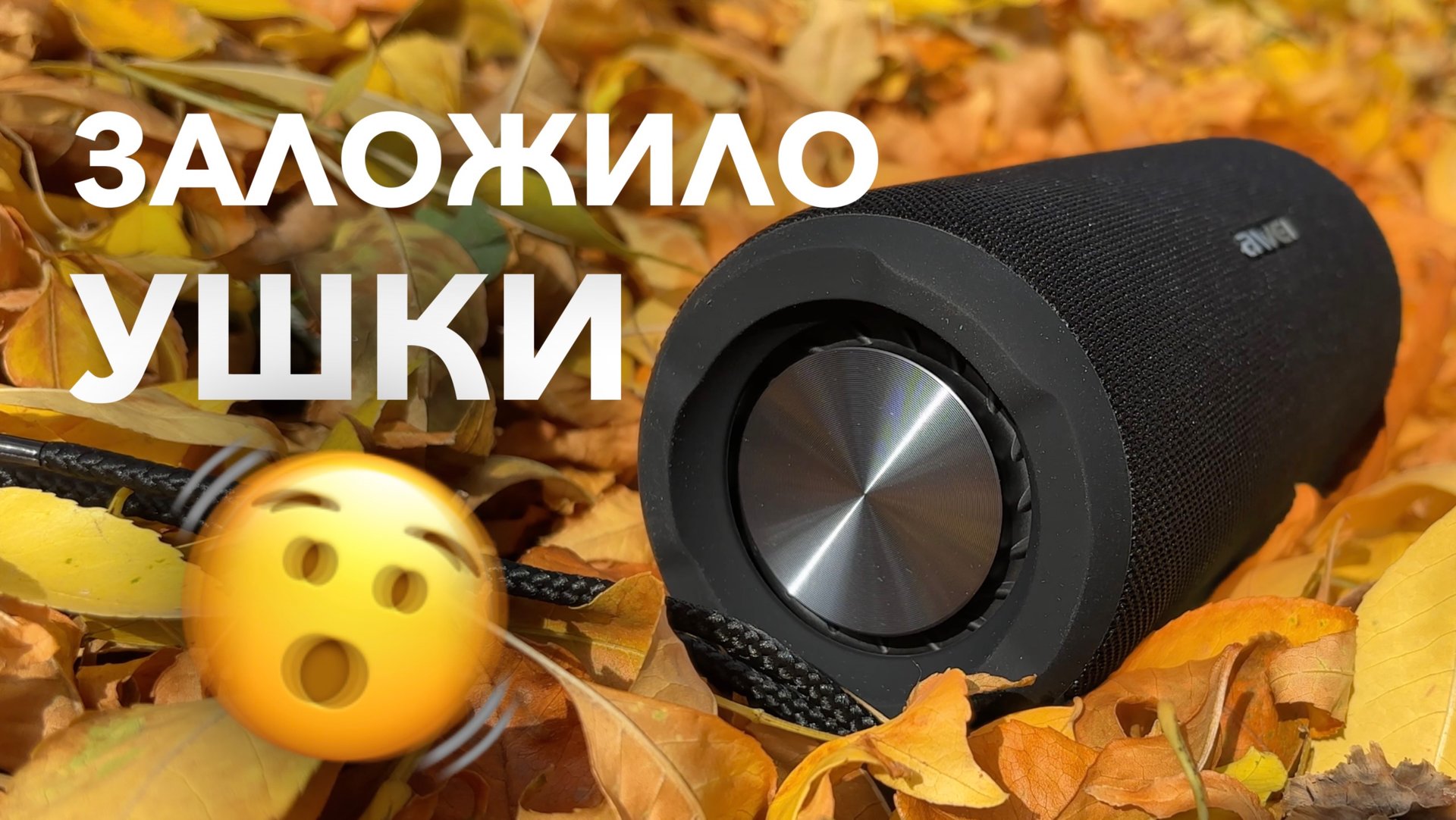 🫣 СОСЕДИ В ШОКЕ! Нашел ЛУЧШУЮ колонку с OZON за 2,5 тысячи рублей — обзор AWEI Y669