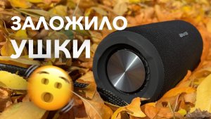 🫣 СОСЕДИ В ШОКЕ! Нашел ЛУЧШУЮ колонку с OZON за 2,5 тысячи рублей — обзор AWEI Y669