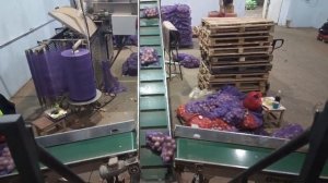 Упаковщик упаковок для автоматического сбора мелких упаковок в большой мешок.