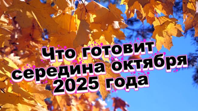 Какой будет середина осени 2025 года?! смотреть онлайн