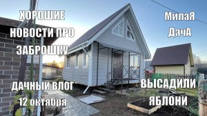 Высадили яблони | Заброшка напротив нашла хозяев | Дачный влог 12 октября