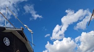 1000105212.mp4 Голуби на даче.