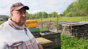 Бакфаст на истоке Волги - пасека Владимира Харламова