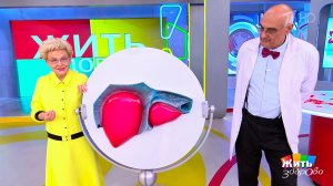 Кошмар спит днем, чтобы ночью работать. Жить здорово! Фрагмент выпуска от 16.10.2025