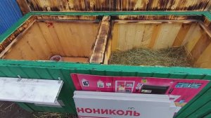 Утепляю будку собаке к зиме 🐕👍