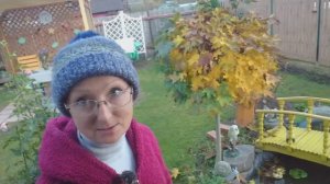 Видео привет с 6 соток 9 октября 2025 года.