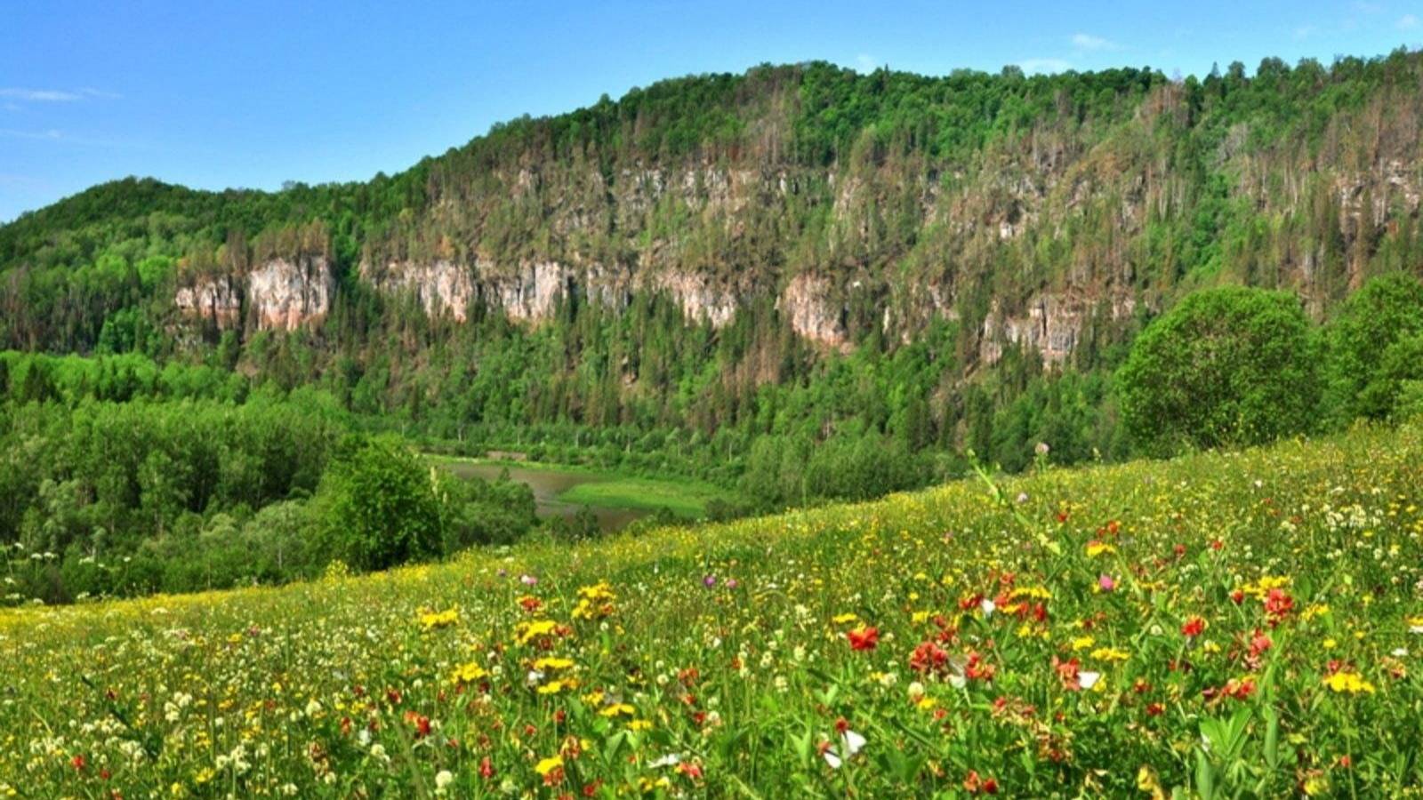 Уральские напевы-стихи В.Ляхова,муз и исп.нейросети,монтаж В.Зубковой смотреть онлайн