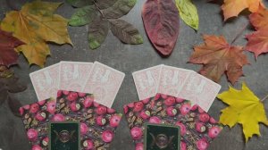 Мысли чувства действия #таро