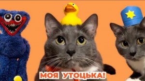 КОТИКИ В ШКОЛЕ - ЛОТКОВ В ПОИСКАХ УТЬКИ   перезалив KOTINET