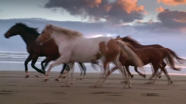 Лошади_ смотреть онлайн