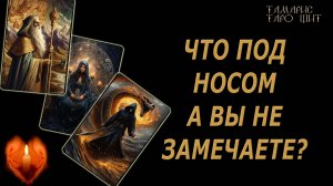 Что под носом, а вы не знаете не замечаете 🔥 💯🔥#таро#гадание#личный#расклад#онлайн#кофе