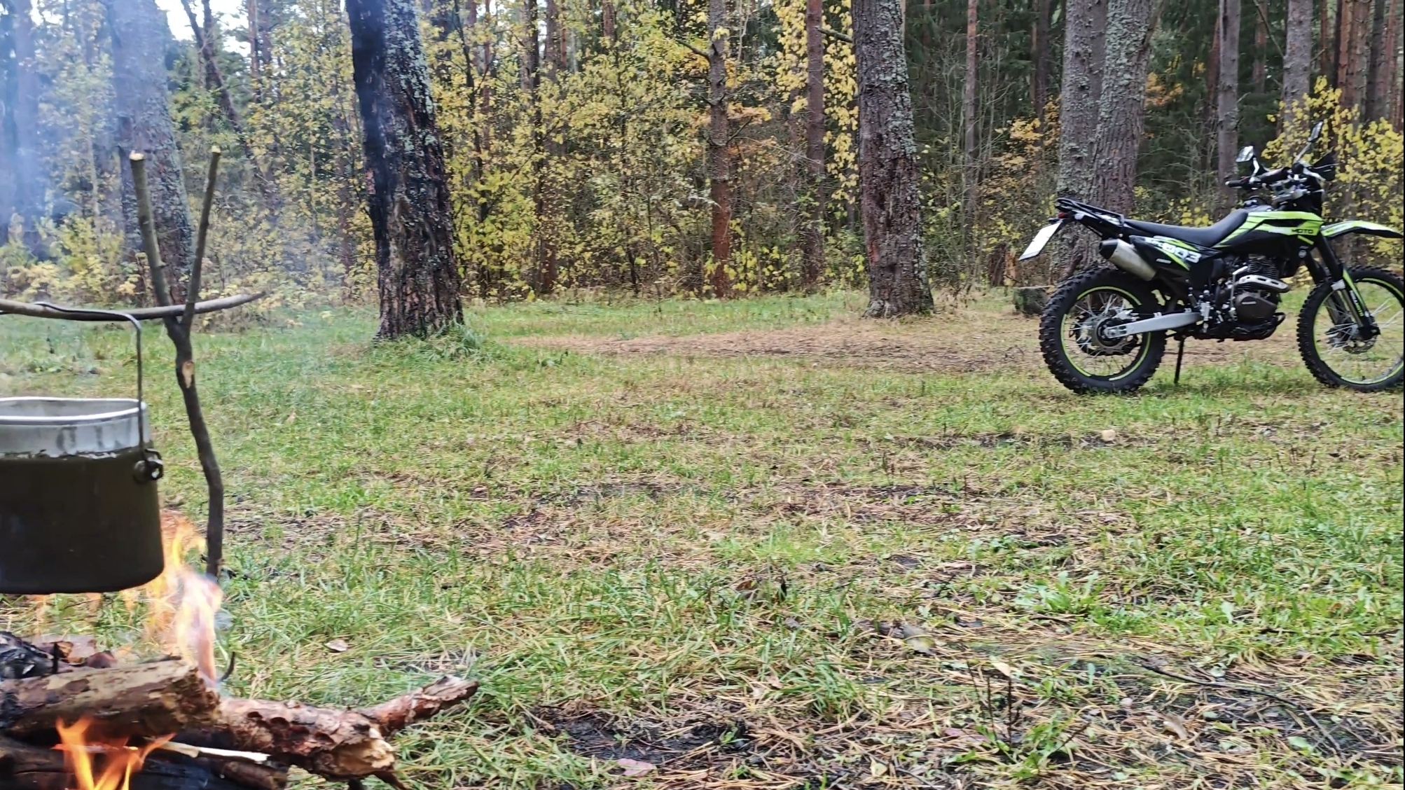 Лес и Regulmoto sport 003Pro. смотреть онлайн