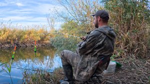 В ЭТИХ КАМЫШАХ ОЧЕНЬ МНОГО КАРАСЯ. ЛОВЛЮ НА ДВА ПОПЛАВКА. КЛЁВ БЕШЕНЫЙ. Нам запретили её ловить.