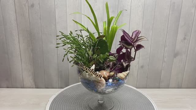 Композиция из комнатных растений в вазе-бокале смотреть онлайн