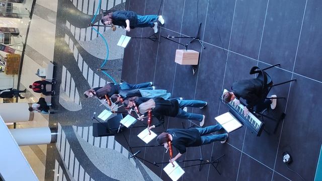 Струнный оркестр CON BRIO в Ривьере