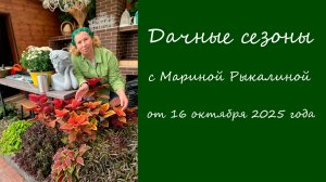 Дачные сезоны с Мариной Рыкалиной от 16 октября 2025 года